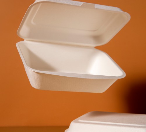 Disposable Food Tray